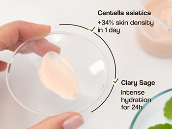 How Does Centella Asiatica Extract Powder Support Collagen Production?